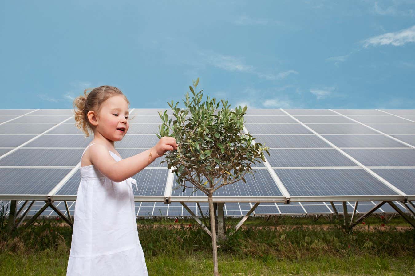 BF3CDY girl and tree in front of solar panel