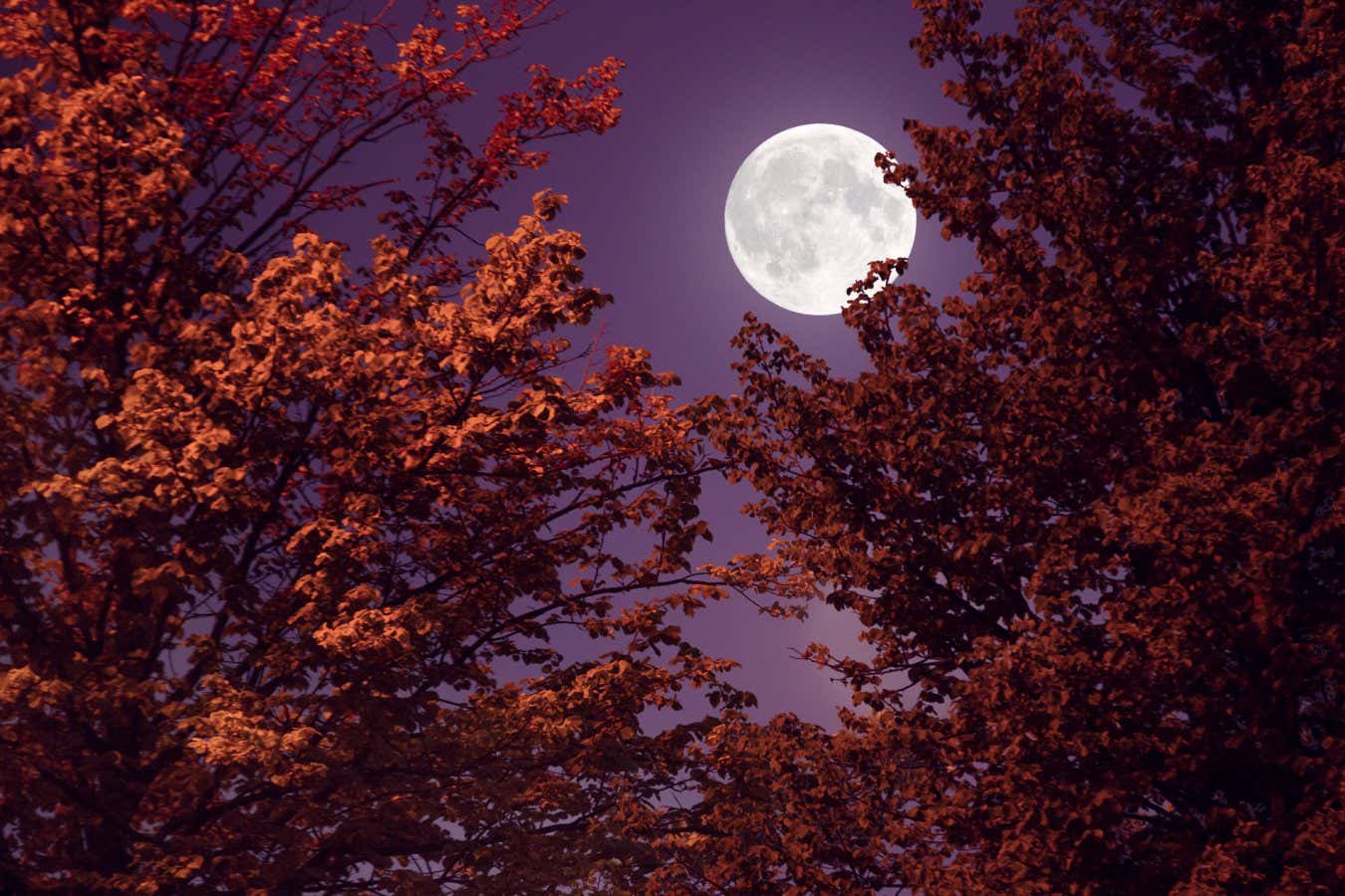 Our Moon review: Humanity's history with our closest satellite