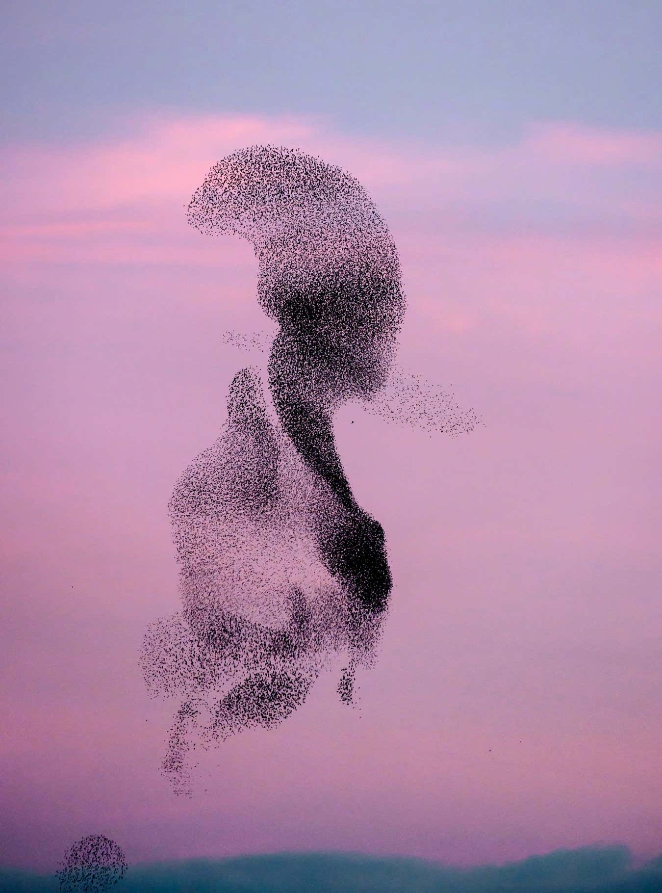 New Scientist. Science news and long reads from expert journalists, covering developments in science, technology, health and the environment on the website and the magazine.