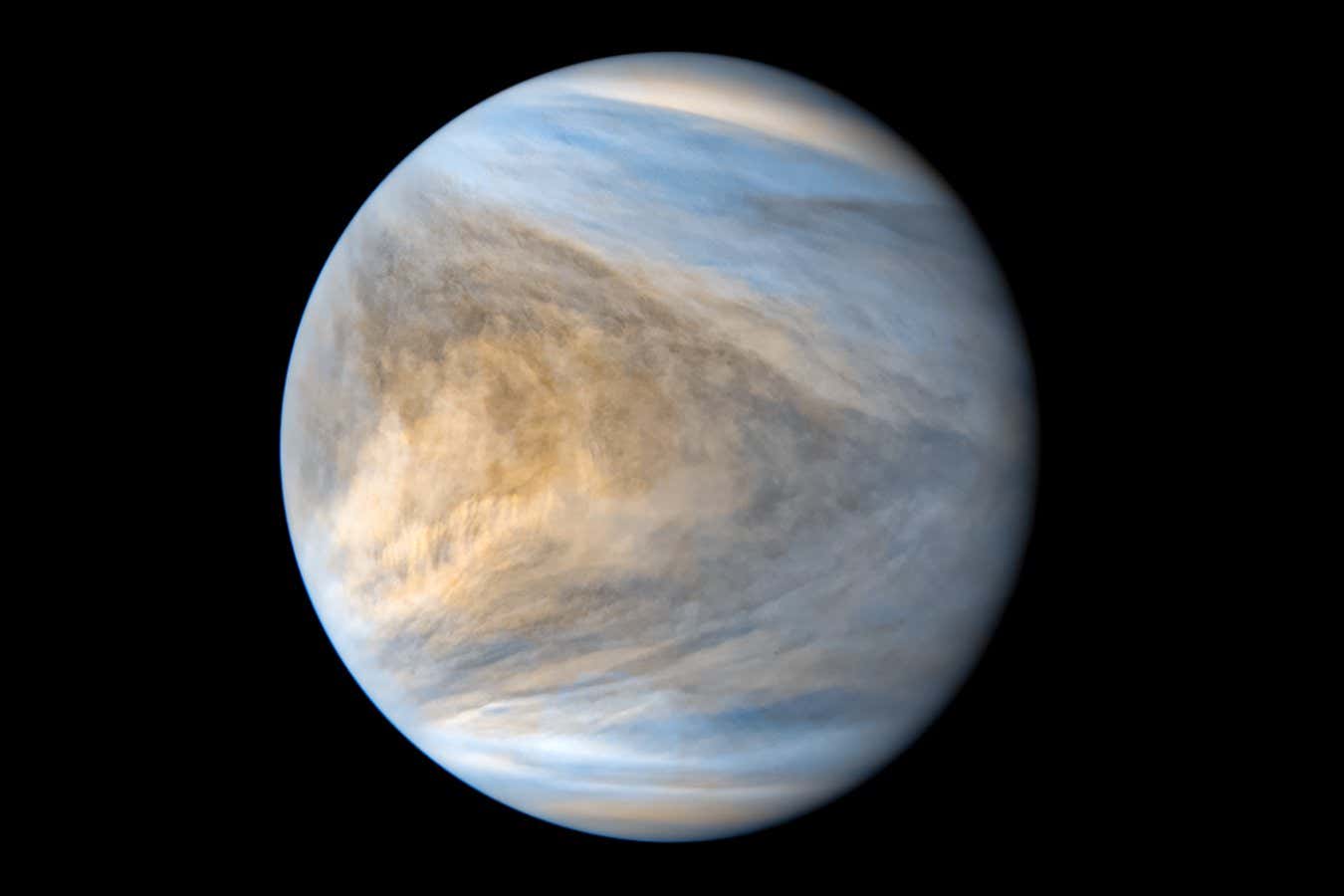 Venus