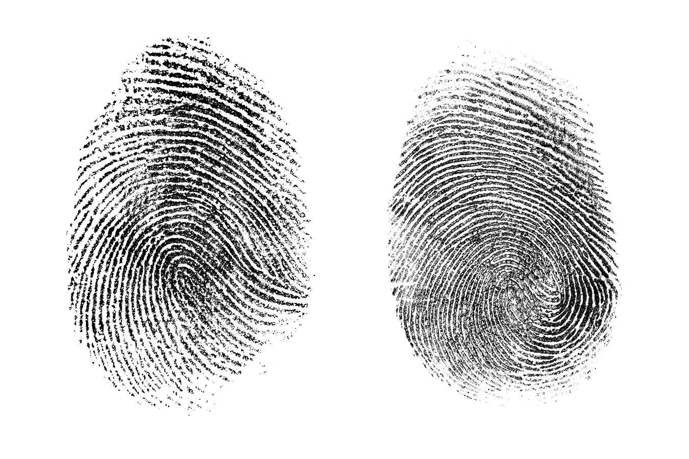 fingerprint or thumbprint set isolated on white