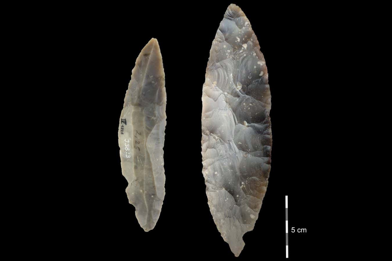 Stone tools from the LRJ at Ranis 1) partial bifacial blade point characteristic of the LRJ; 2) at Ranis the LRJ also contains finely made bifacial leaf points. Credit: Josephine Schubert, Museum Burg Ranis, License: CC-BY-ND 4.0. lithics from Ranis. At left, Jerzmanowice blade point, layer X (Museum Burg Ranis, IV 1328). At right, Bifacial leaf point (Museum Burg Ranis IV 1319), layer X.