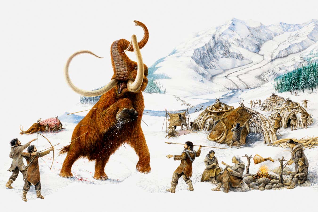 New Scientist. Science news and long reads from expert journalists, covering developments in science, technology, health and the environment on the website and the magazine.