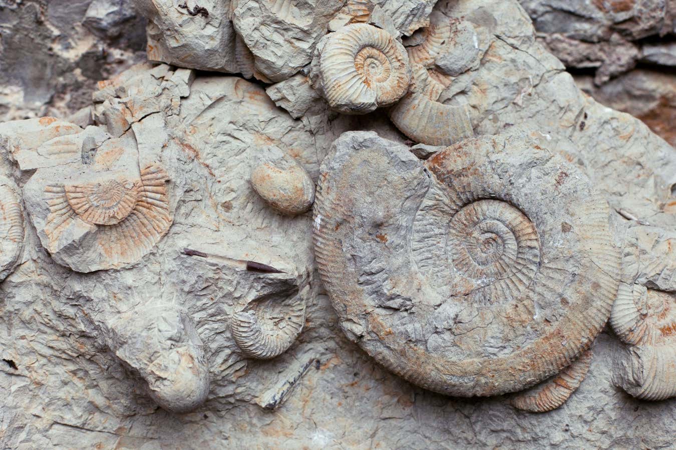 Bone Hunters is a novel from Mary Anning that features in this month's best new sci-fi