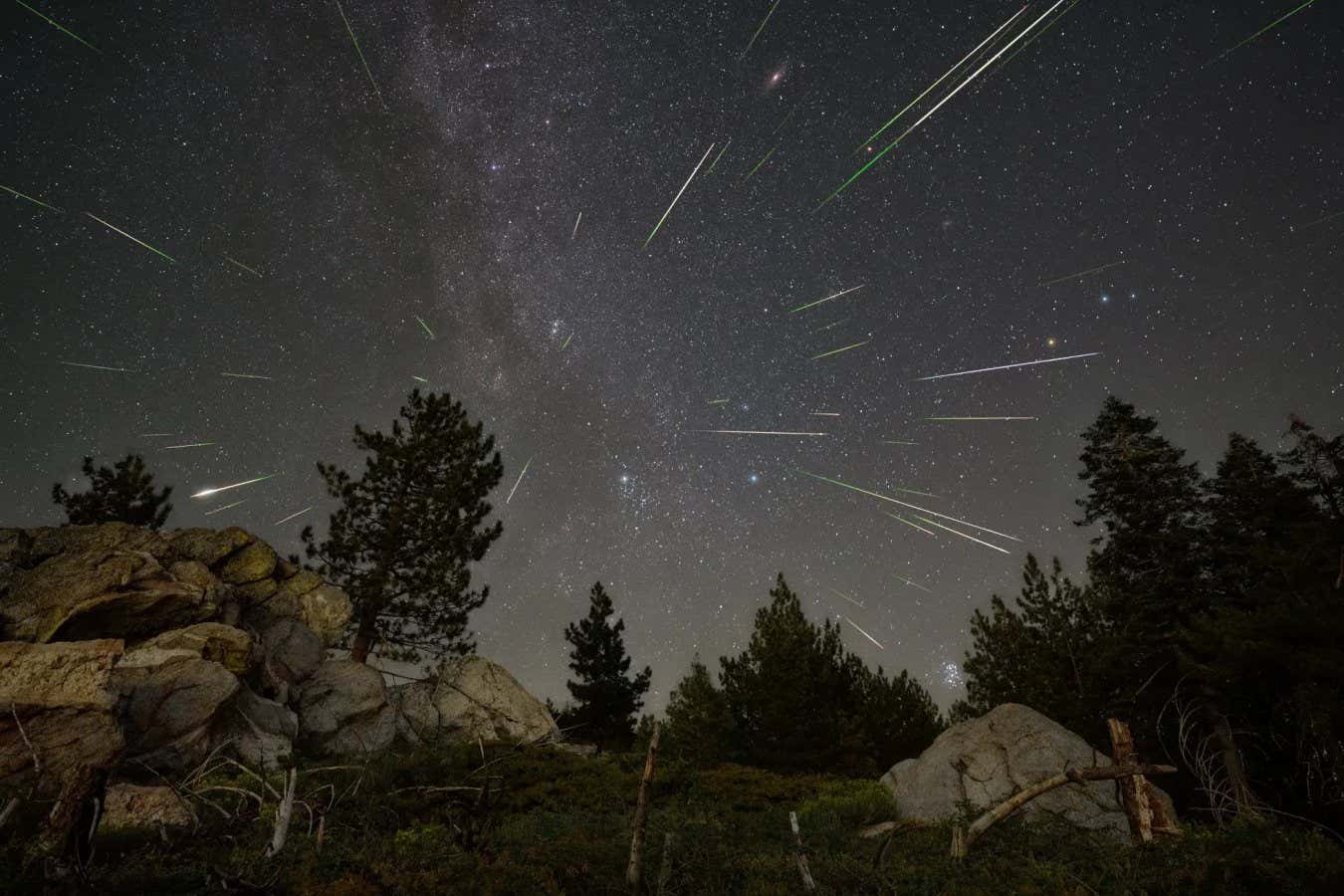 New Scientist. Science news and long reads from expert journalists, covering developments in science, technology, health and the environment on the website and the magazine.