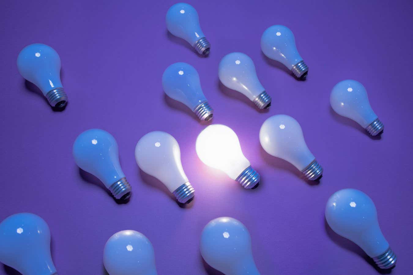 One of 14 incandescent lightbulbs lit on purple surface