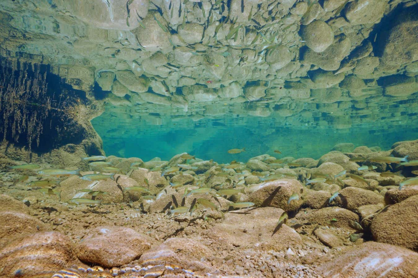 Read an extract from In Ascension by Martin MacInnes