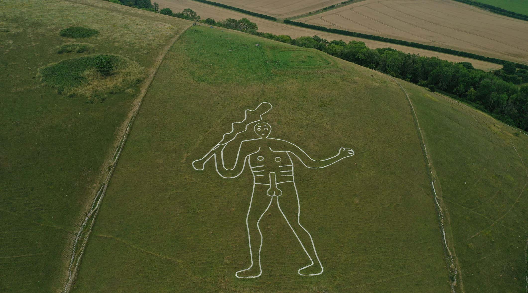 New Scientist. Science news and long reads from expert journalists, covering developments in science, technology, health and the environment on the website and the magazine.