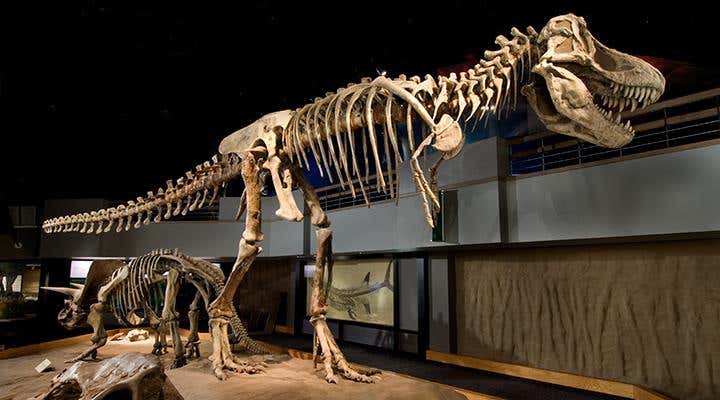 New Scientist. Science news and long reads from expert journalists, covering developments in science, technology, health and the environment on the website and the magazine.