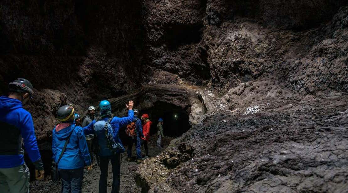 New Scientist. Science news and long reads from expert journalists, covering developments in science, technology, health and the environment on the website and the magazine.