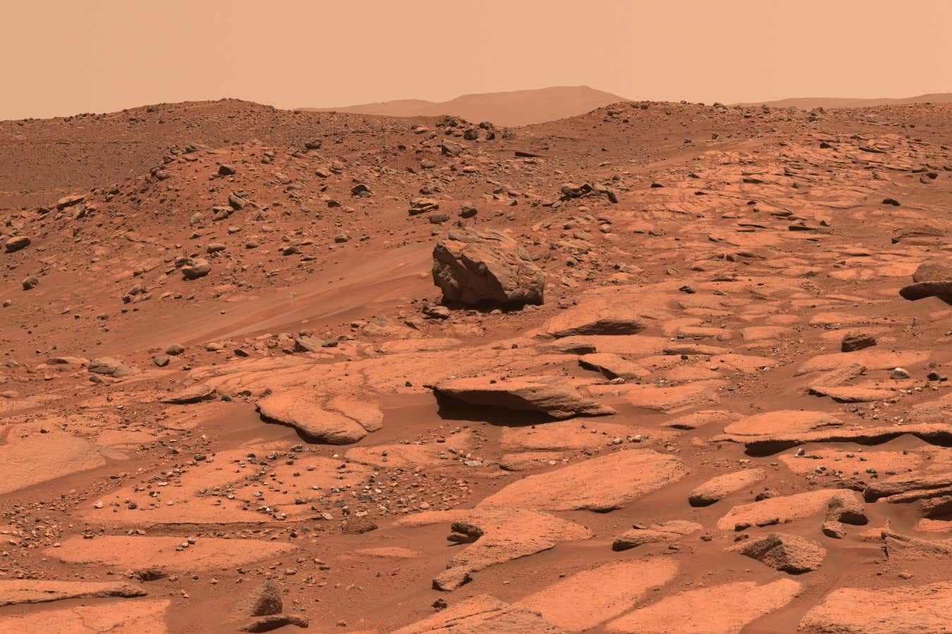 New Scientist. Science news and long reads from expert journalists, covering developments in science, technology, health and the environment on the website and the magazine.