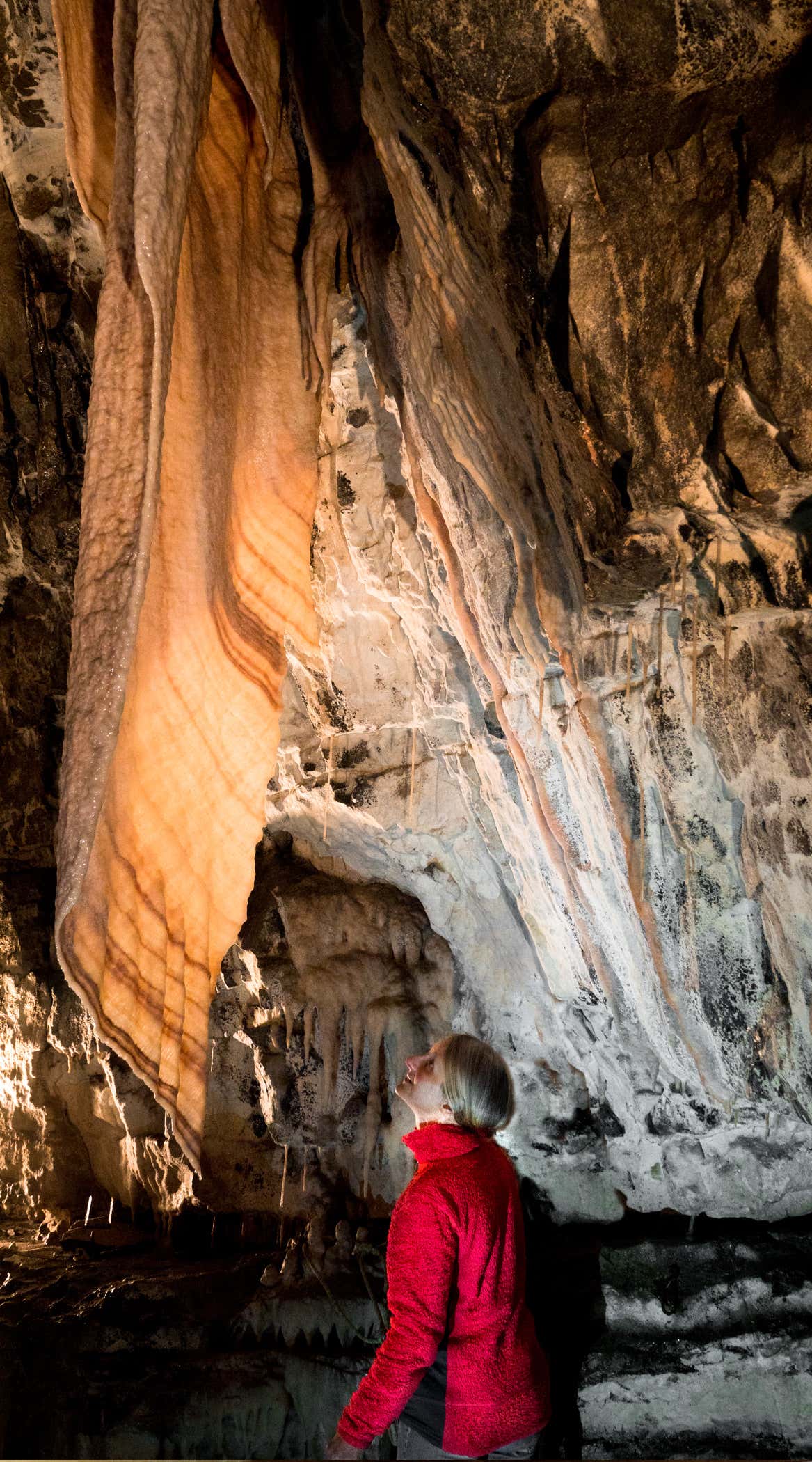 New Scientist. Science news and long reads from expert journalists, covering developments in science, technology, health and the environment on the website and the magazine.