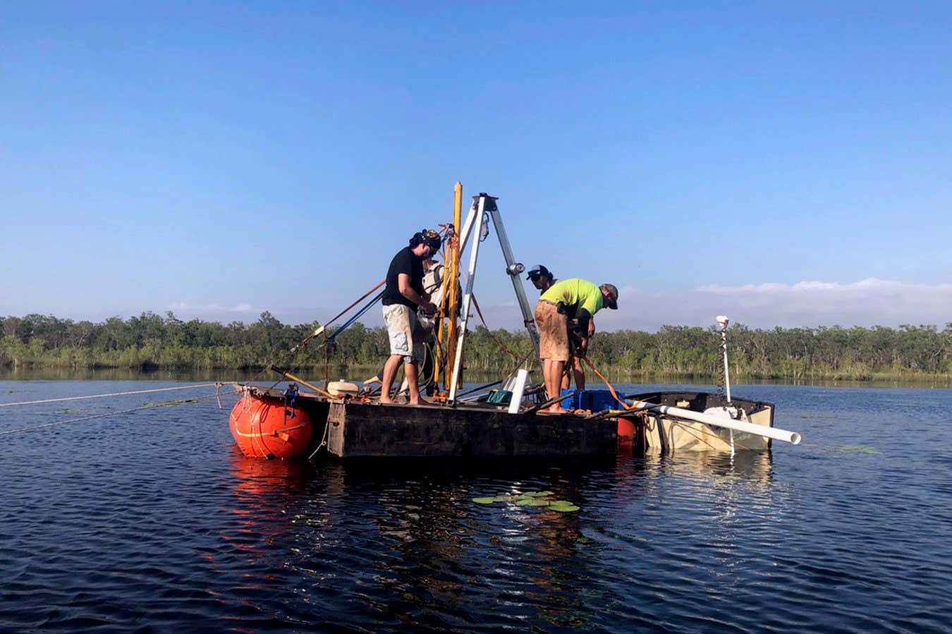 New Scientist. Science news and long reads from expert journalists, covering developments in science, technology, health and the environment on the website and the magazine.