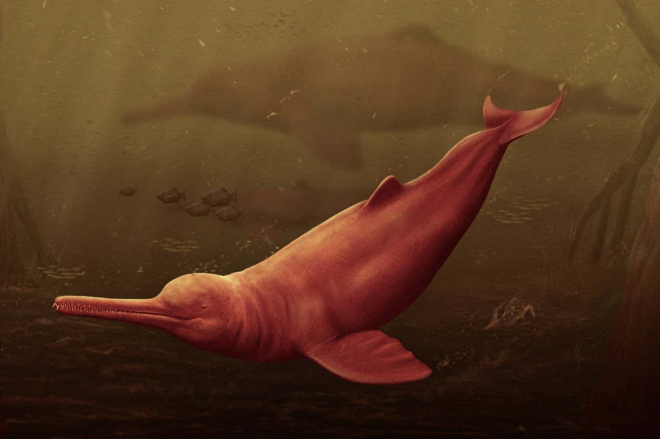 Artistic reconstruction of Pebanista yacuruna