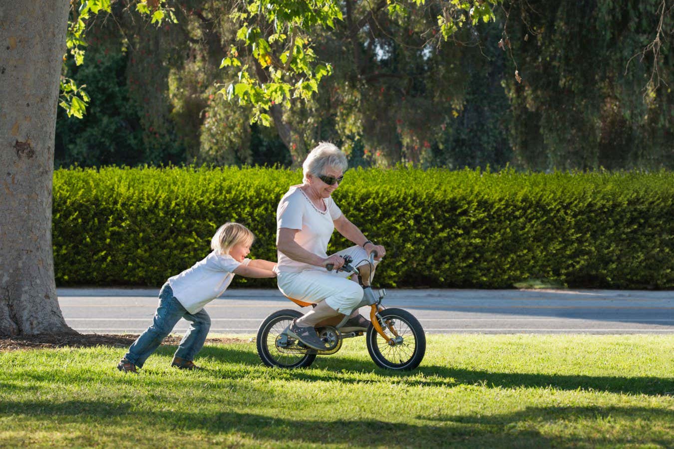 E3Y70G Three year old boy pushing grandmother on cycle in park