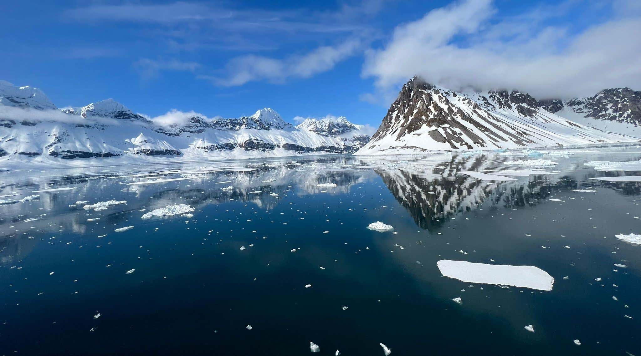 New Scientist. Science news and long reads from expert journalists, covering developments in science, technology, health and the environment on the website and the magazine.