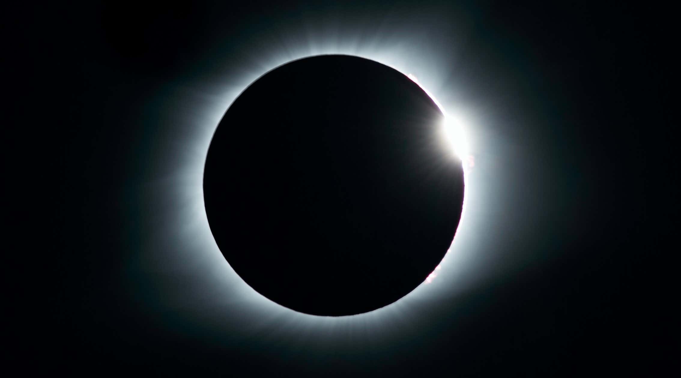 New Scientist. Science news and long reads from expert journalists, covering developments in science, technology, health and the environment on the website and the magazine.