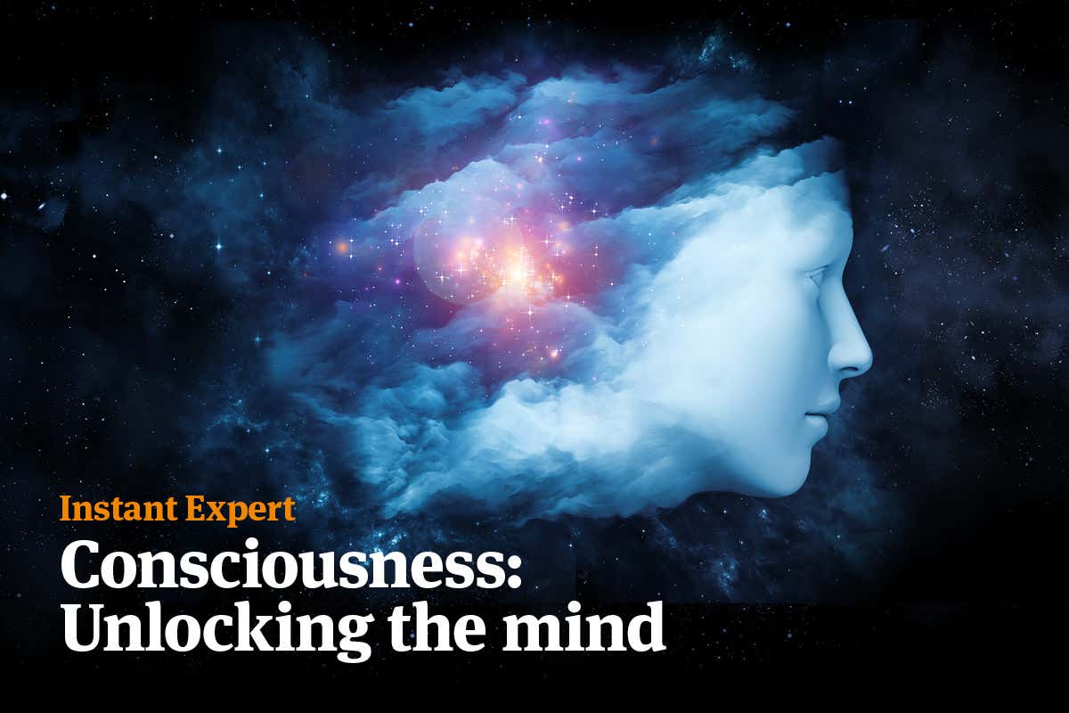 New Scientist. Science news and long reads from expert journalists, covering developments in science, technology, health and the environment on the website and the magazine.