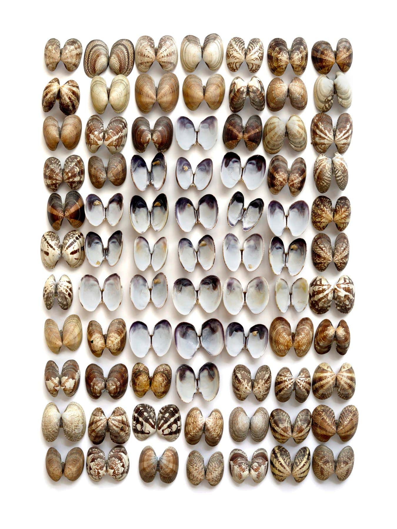 New Scientist. Science news and long reads from expert journalists, covering developments in science, technology, health and the environment on the website and the magazine.