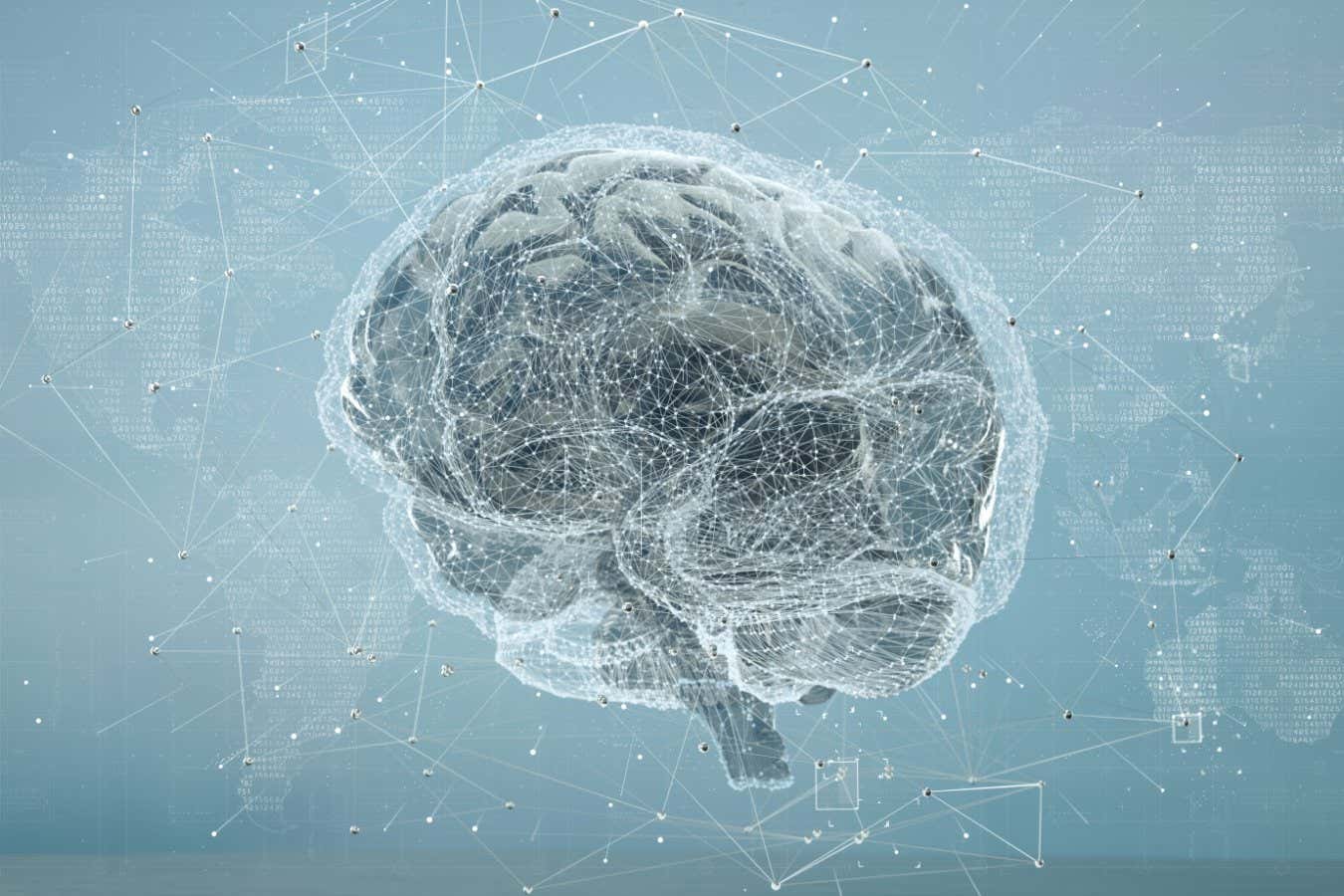 Digital Human Brain Covered with Networks