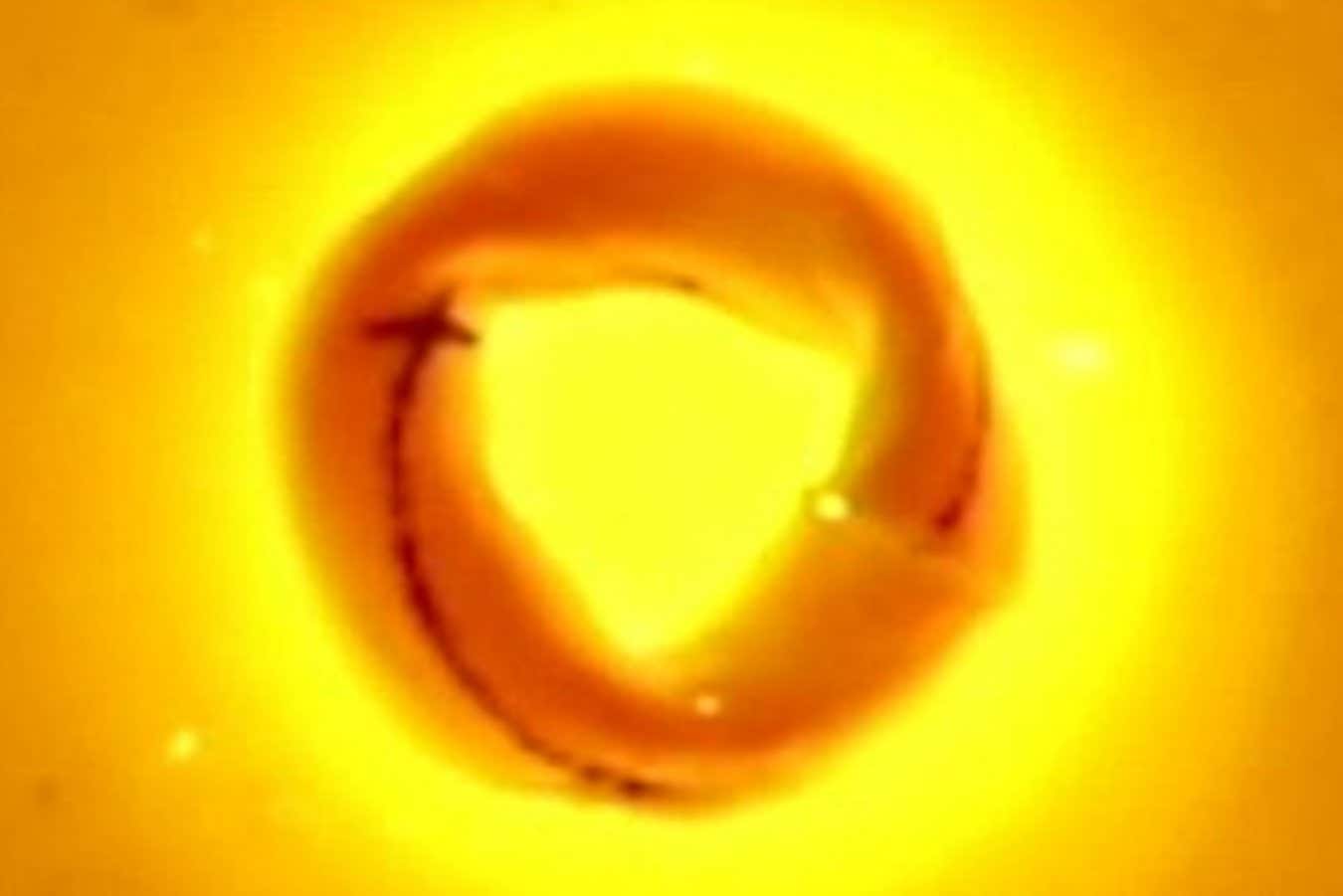 The Möbius strip robot