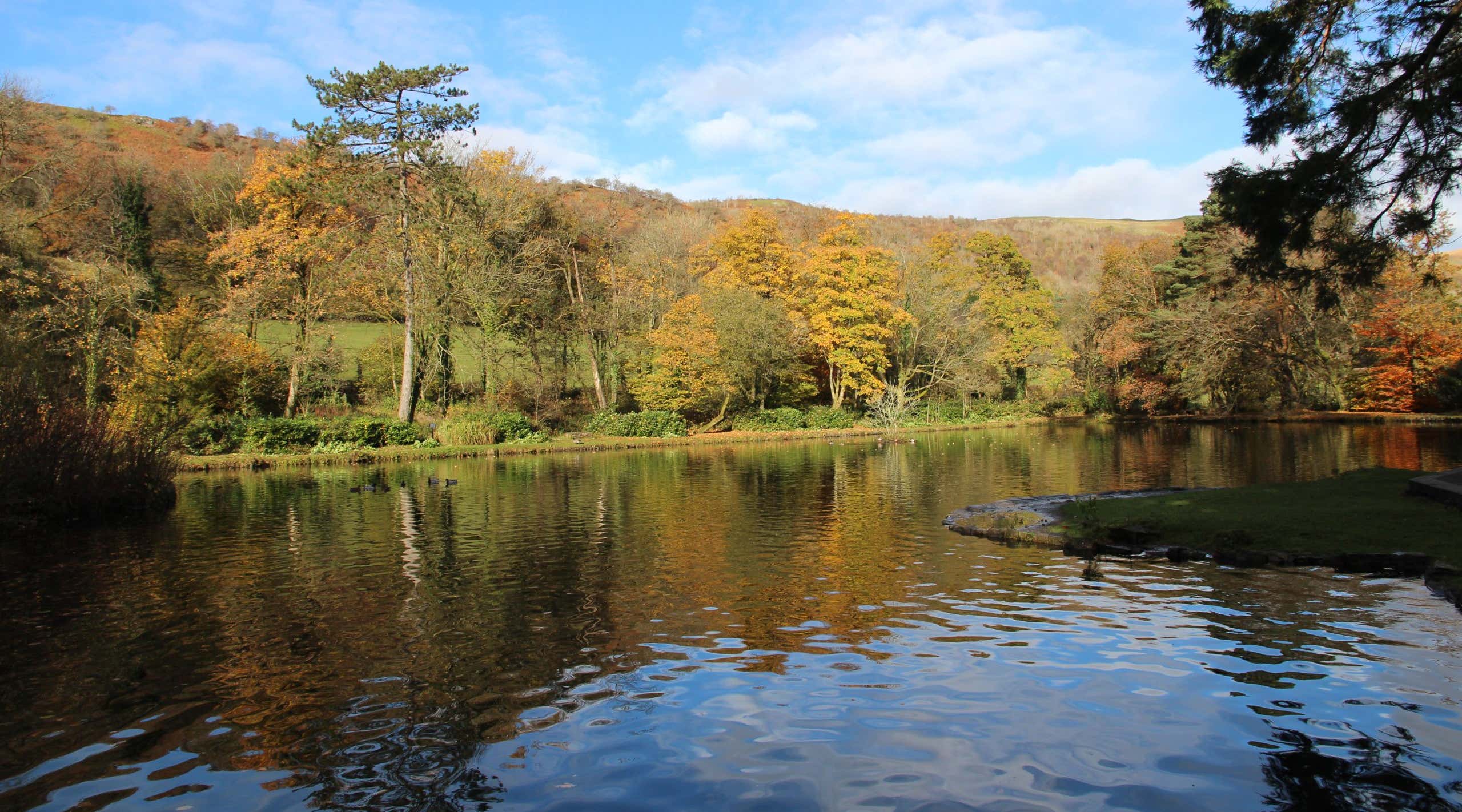 New Scientist. Science news and long reads from expert journalists, covering developments in science, technology, health and the environment on the website and the magazine.