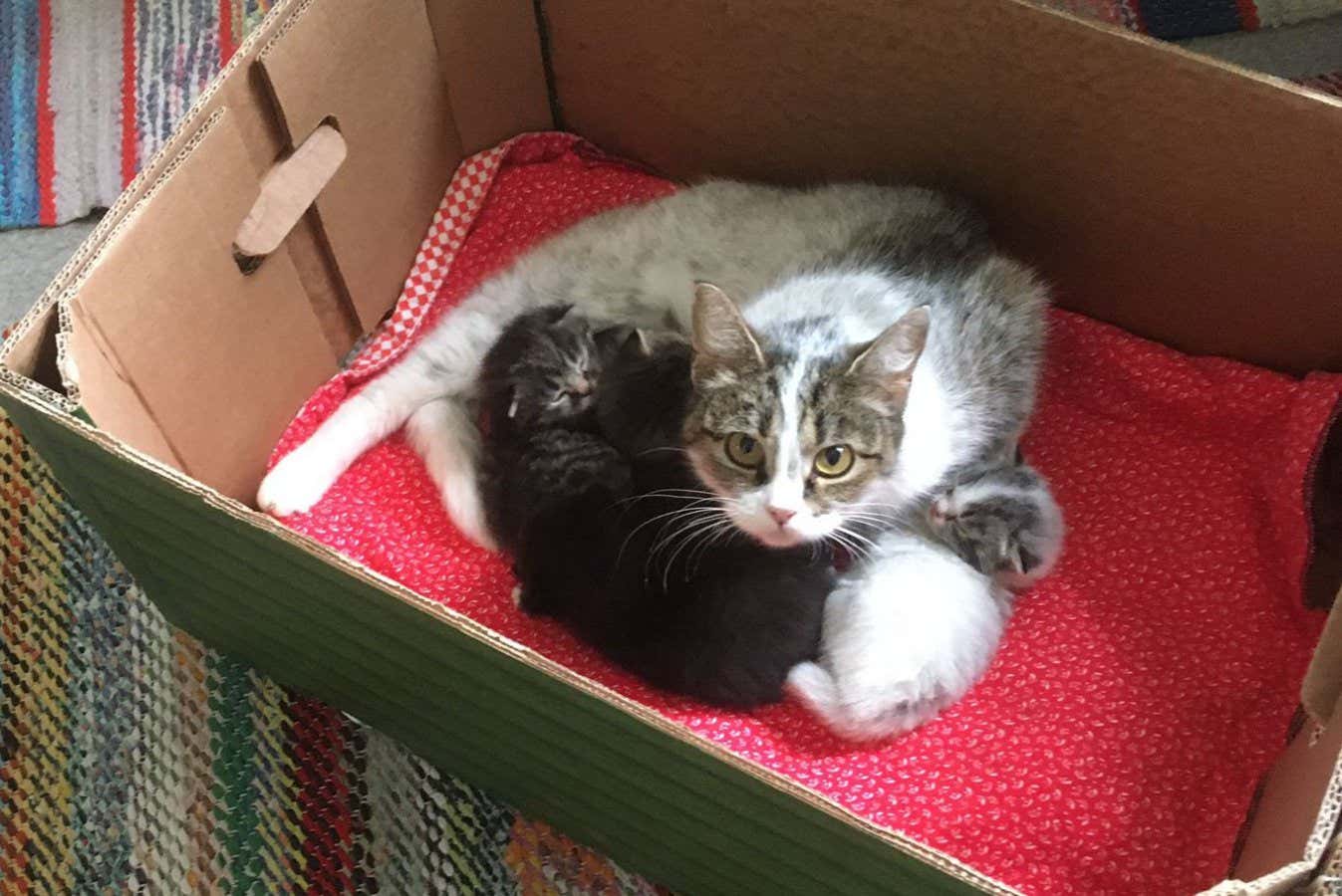 New Scientist. Science news and long reads from expert journalists, covering developments in science, technology, health and the environment on the website and the magazine.