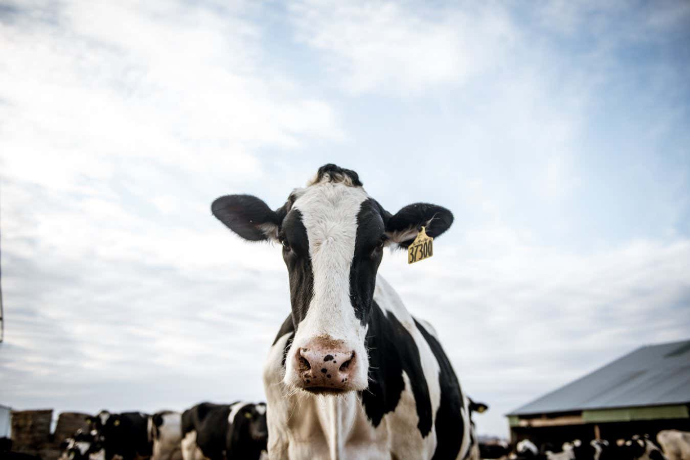 New Scientist. Science news and long reads from expert journalists, covering developments in science, technology, health and the environment on the website and the magazine.