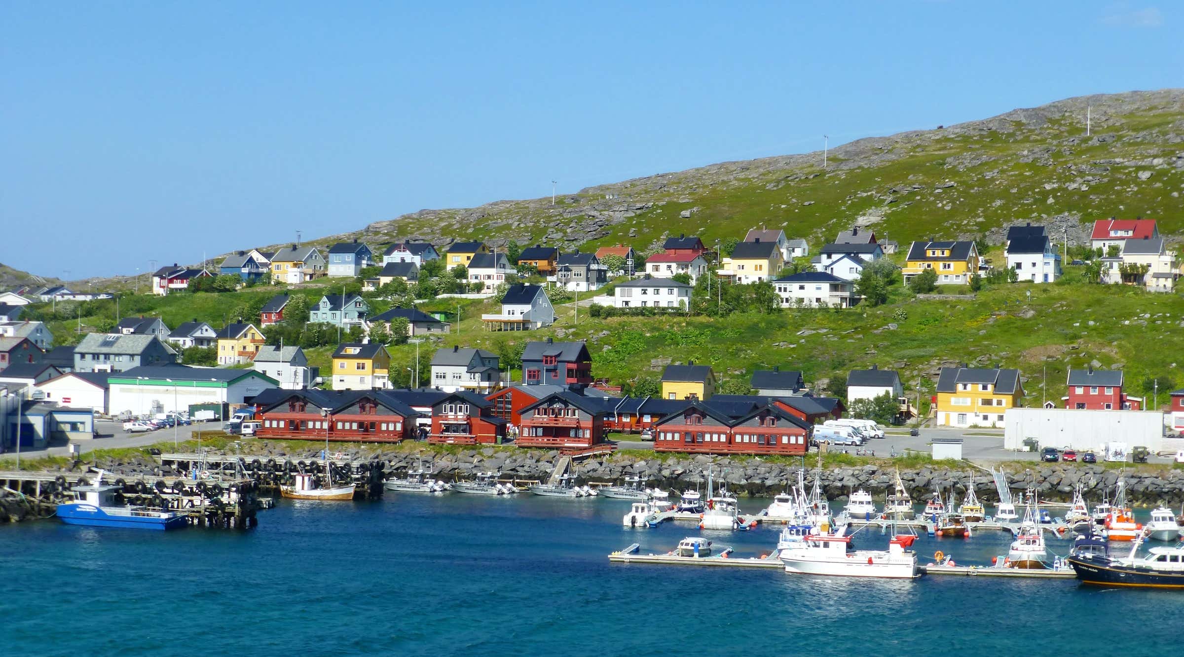 New Scientist. Science news and long reads from expert journalists, covering developments in science, technology, health and the environment on the website and the magazine.