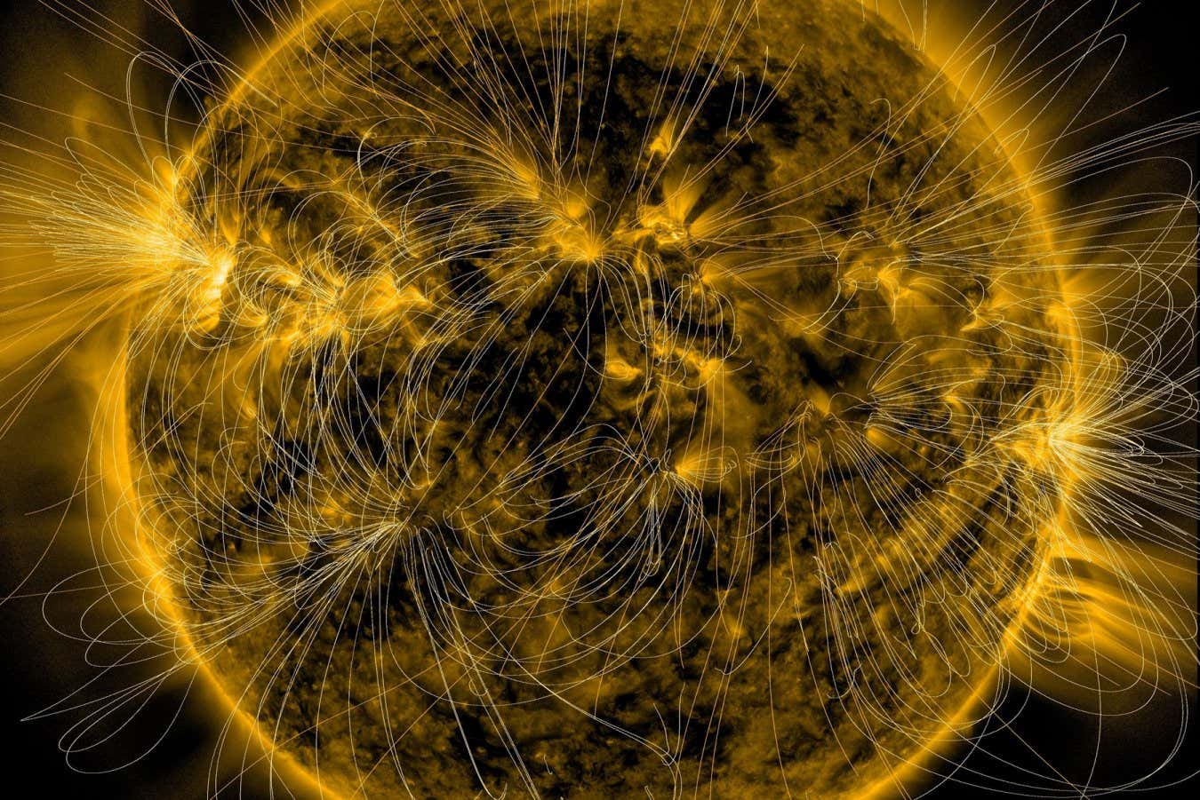 This illustration lays a depiction of the sun's magnetic fields over an image captured by NASA?s Solar Dynamics Observatory. The complex overlay of lines can teach scientists about the ways the sun's magnetism changes in response to the constant movement on and inside the sun. CREDIT NASA/SDO/AIA/LMSAL http://dx.doi.org/10.1038/s41586-024-07315-1