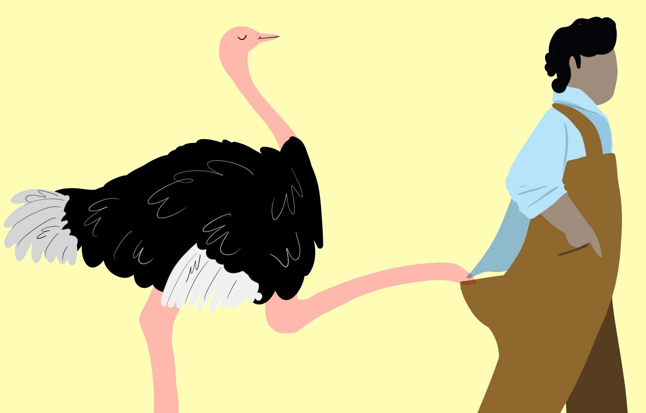 The dangers of amorous ostriches when starting an ostrich farm