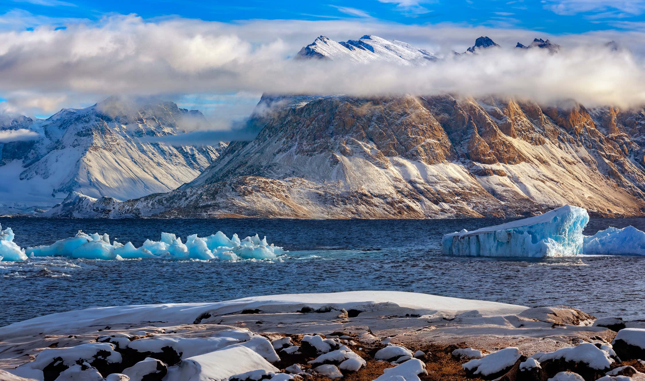 New Scientist. Science news and long reads from expert journalists, covering developments in science, technology, health and the environment on the website and the magazine.