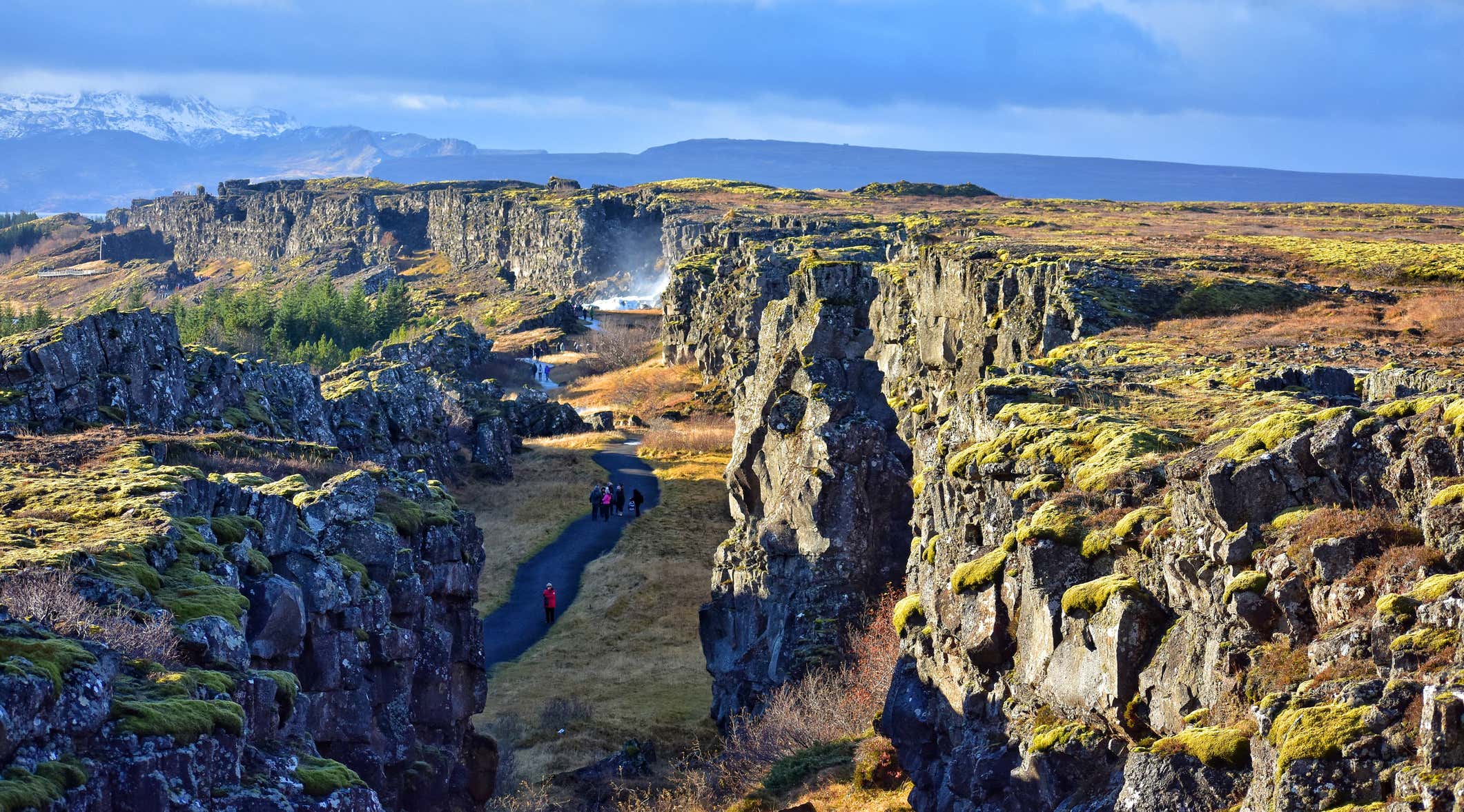 New Scientist. Science news and long reads from expert journalists, covering developments in science, technology, health and the environment on the website and the magazine.