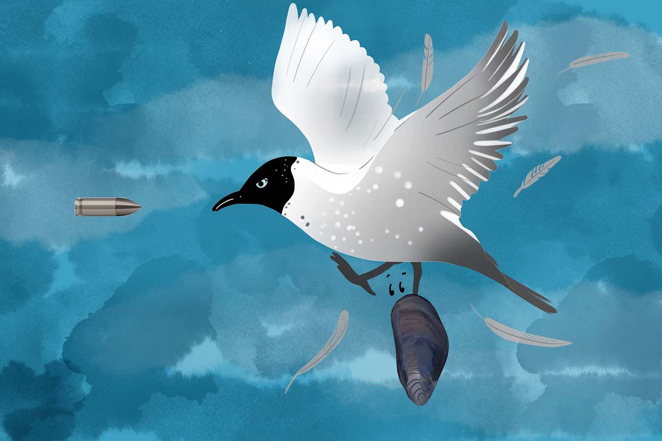 Solving the mystery death of a Danish black-headed gull