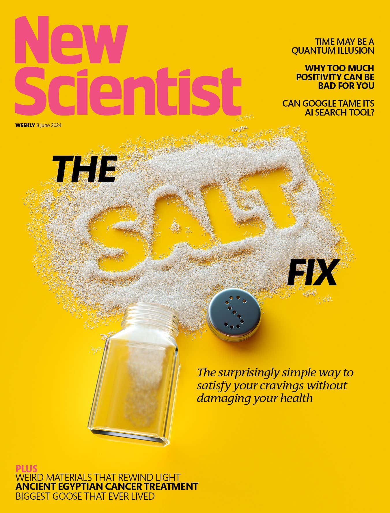 New Scientist issue 3494 cover
