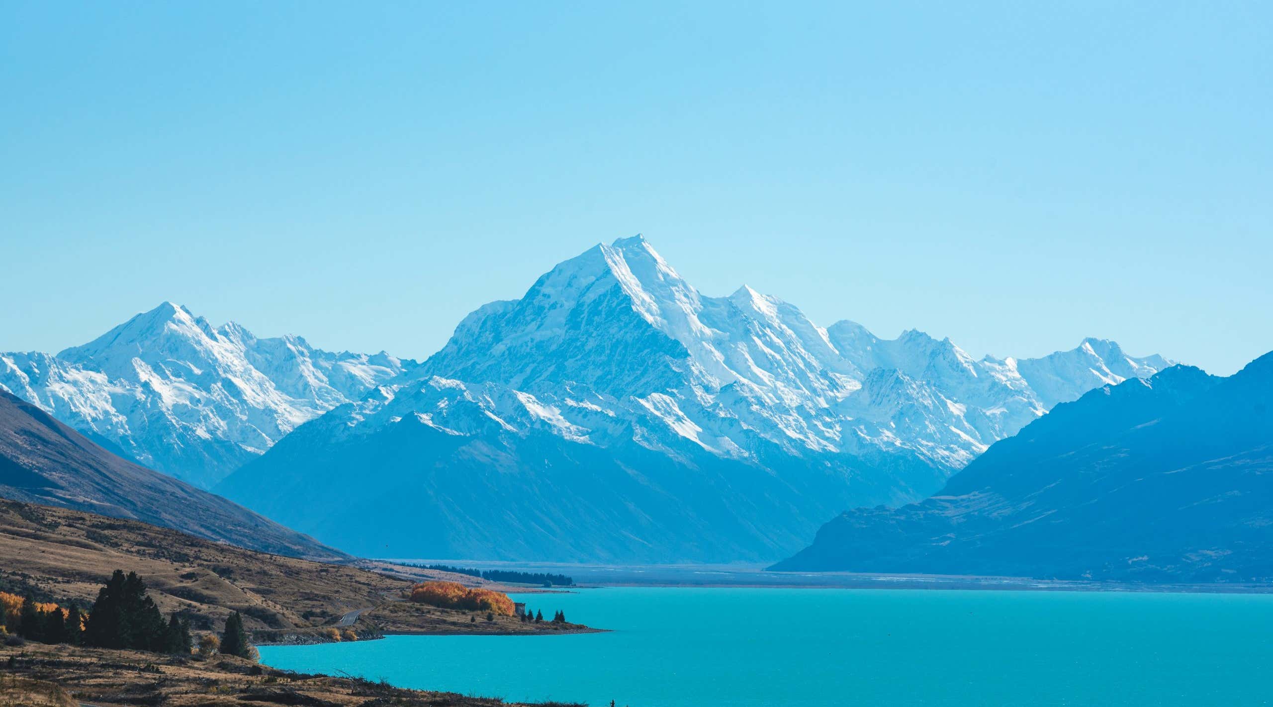 New Scientist. Science news and long reads from expert journalists, covering developments in science, technology, health and the environment on the website and the magazine.