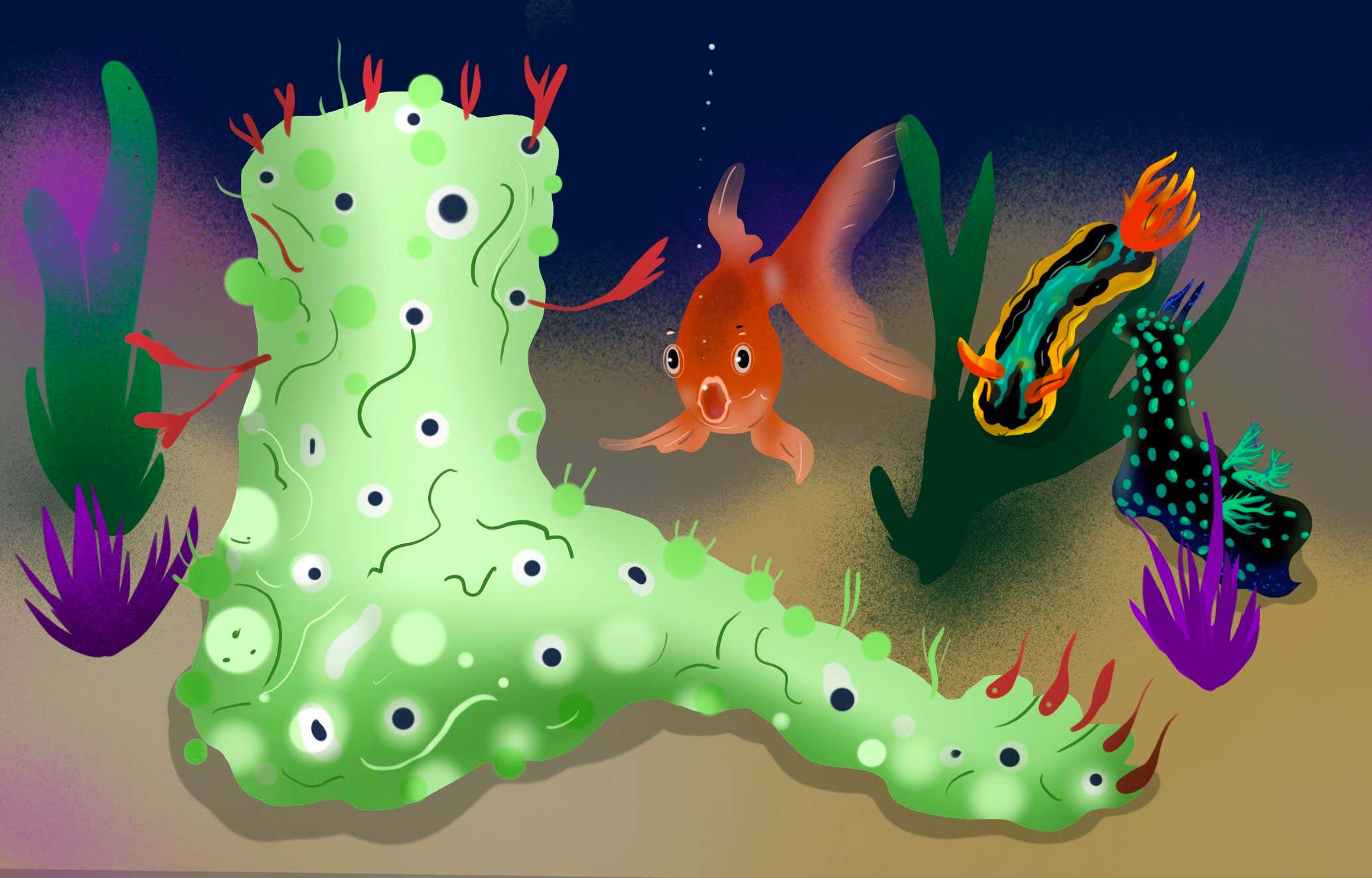 Is it a severed foot? No, it's a sea slug