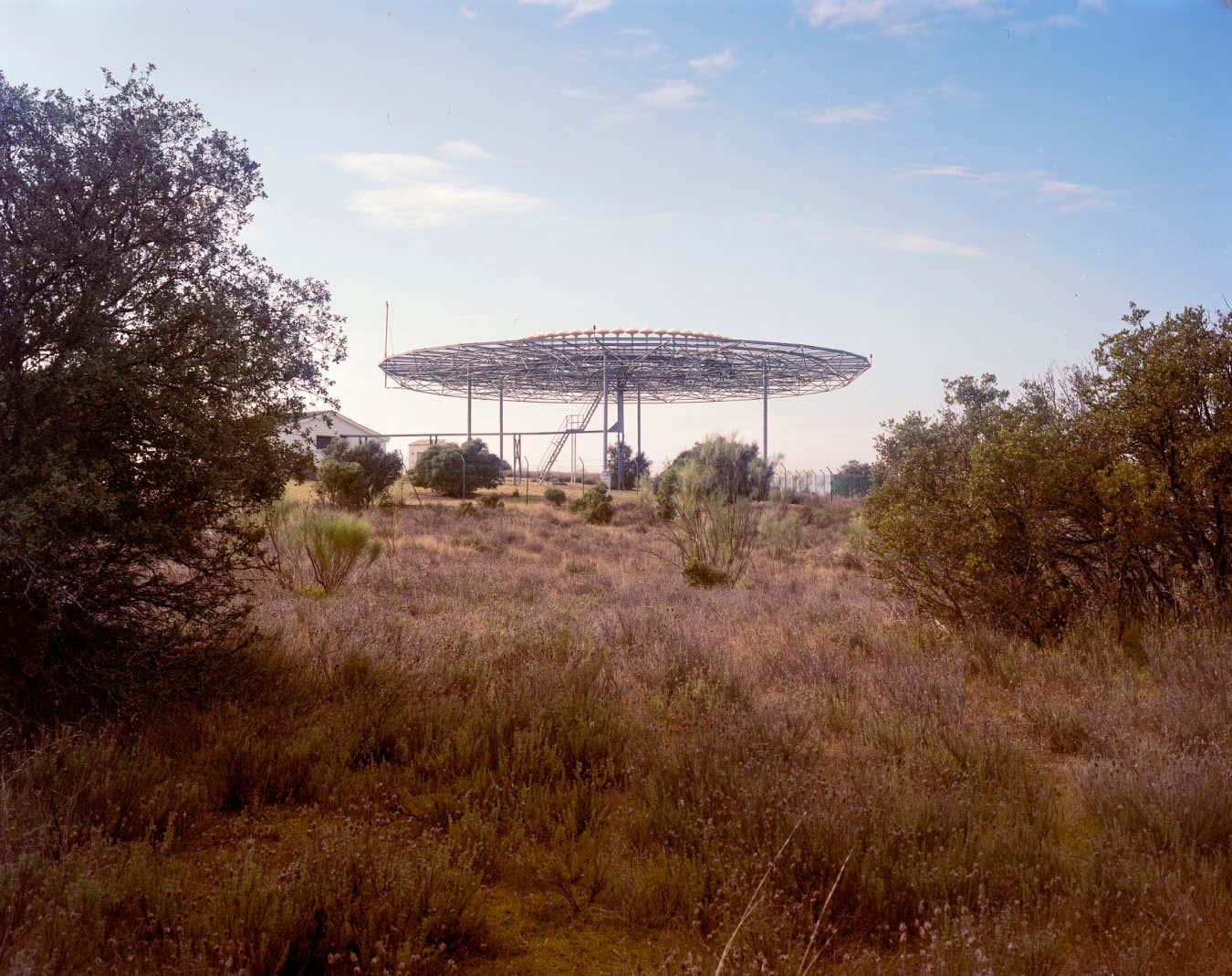 New Scientist. Science news and long reads from expert journalists, covering developments in science, technology, health and the environment on the website and the magazine.