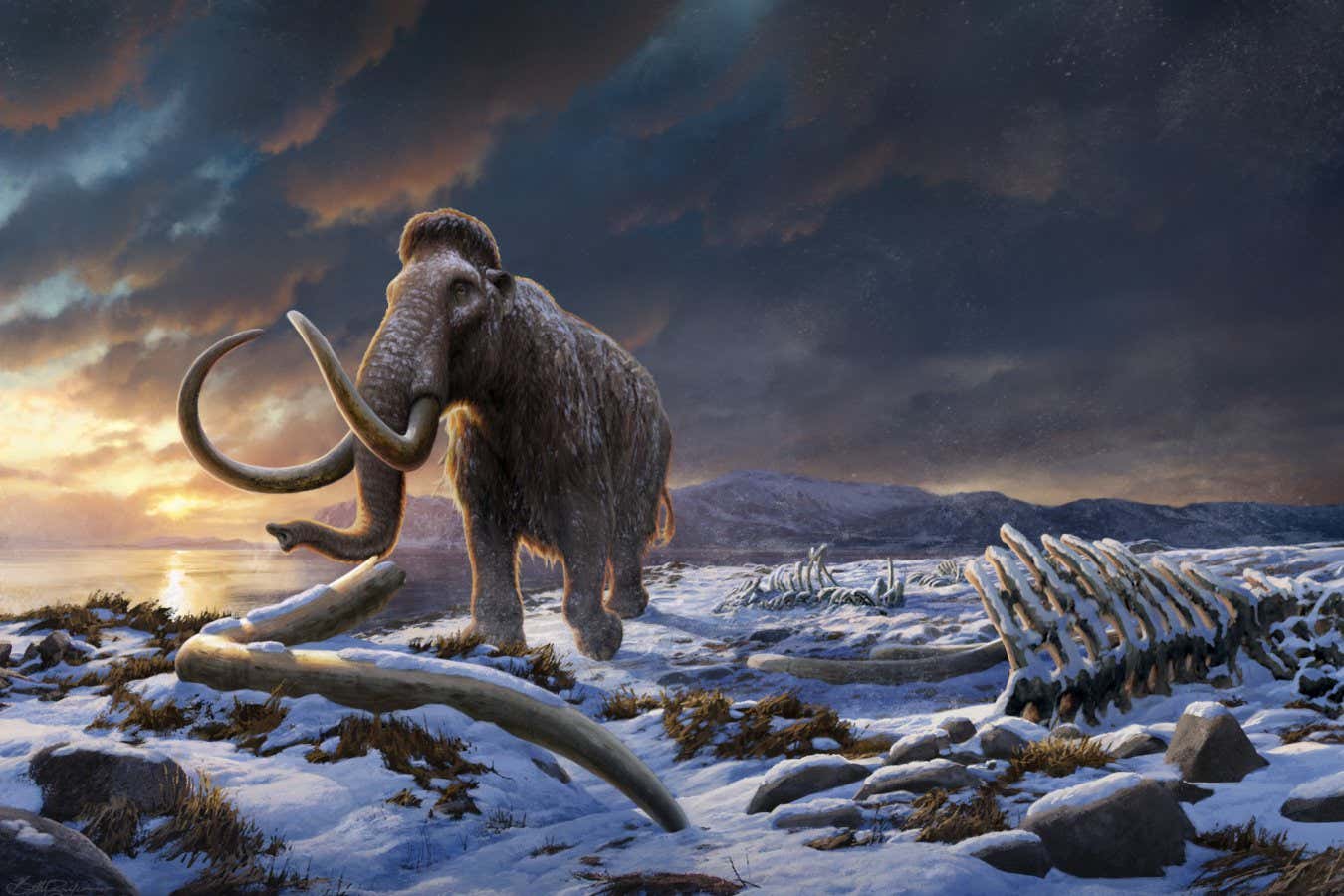 Last Wrangel Mammoth