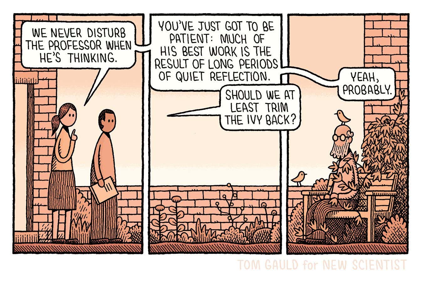Tom Gauld on not disturbing the professor while he's thinking