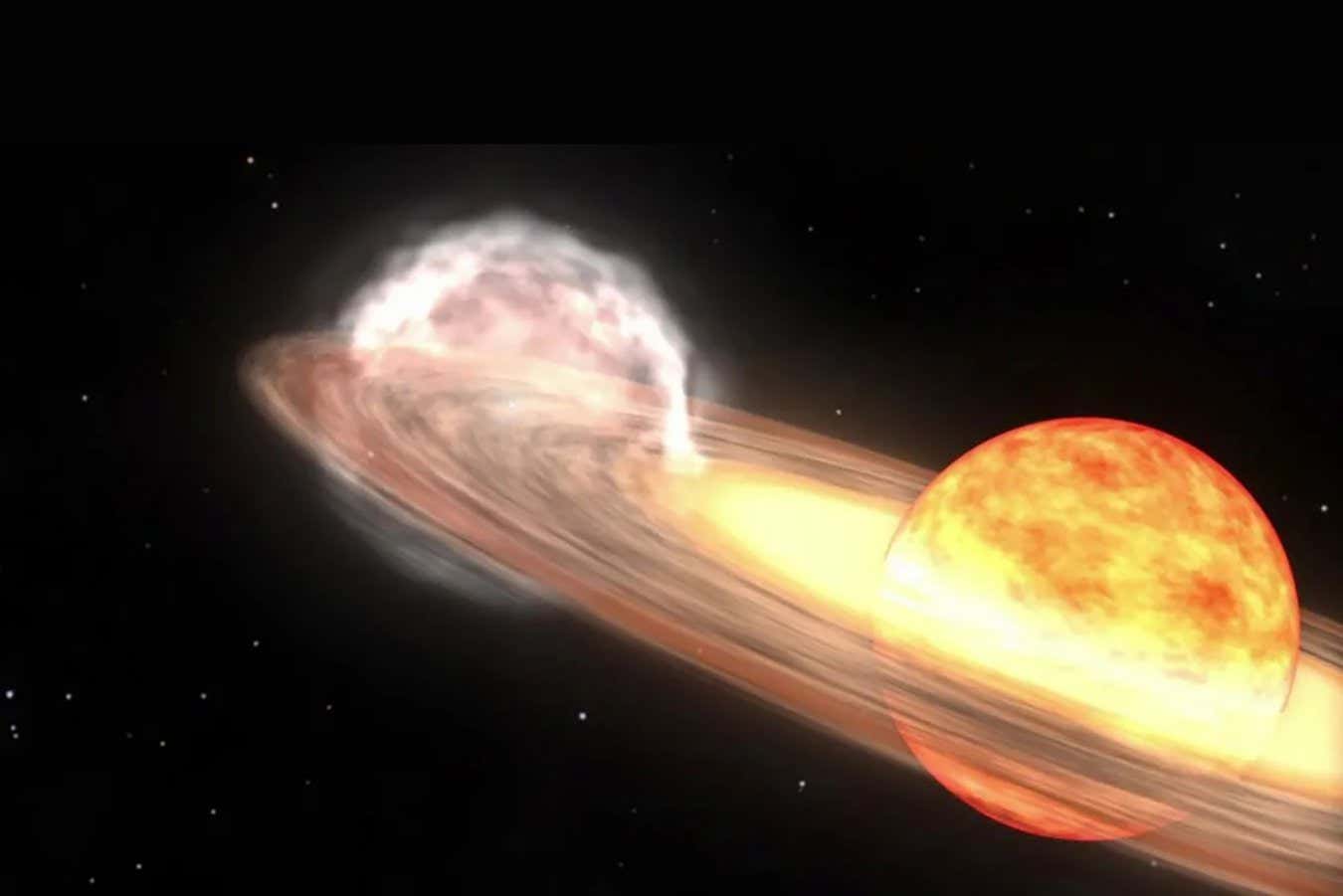 A red giant star and white dwarf orbit each other in this animation of a nova similar to T Coronae Borealis. The red giant is a large sphere in shades of red, orange, and white, with the side facing the white dwarf the lightest shades. The white dwarf is hidden in a bright glow of white and yellows, which represent an accretion disk around the star. A stream of material, shown as a diffuse cloud of red, flows from the red giant to the white dwarf. When the red giant moves behind the white dwarf, a nova explosion on the white dwarf ignites, creating a ball of ejected nova material shown in pale orange. After the fog of material clears, a small white spot remains, indicating that the white dwarf has survived the explosion. NASA/Goddard Space Flight Center