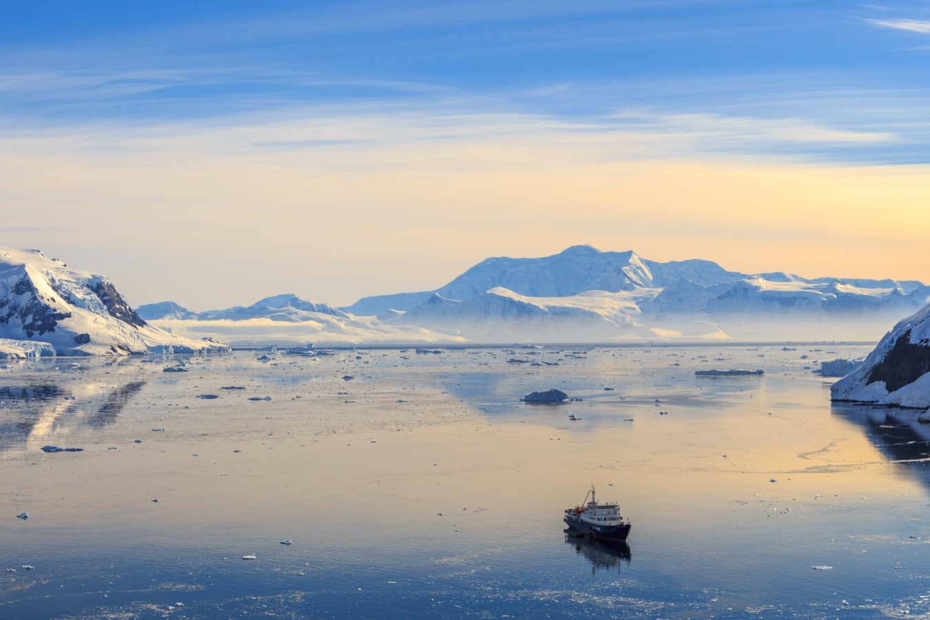 New Scientist. Science news and long reads from expert journalists, covering developments in science, technology, health and the environment on the website and the magazine.