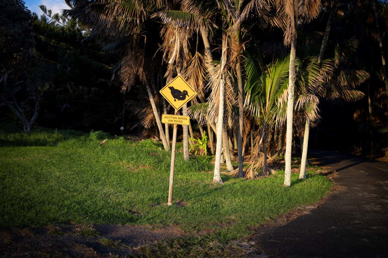 New Scientist. Science news and long reads from expert journalists, covering developments in science, technology, health and the environment on the website and the magazine.