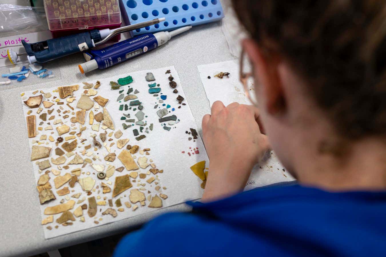 New Scientist. Science news and long reads from expert journalists, covering developments in science, technology, health and the environment on the website and the magazine.