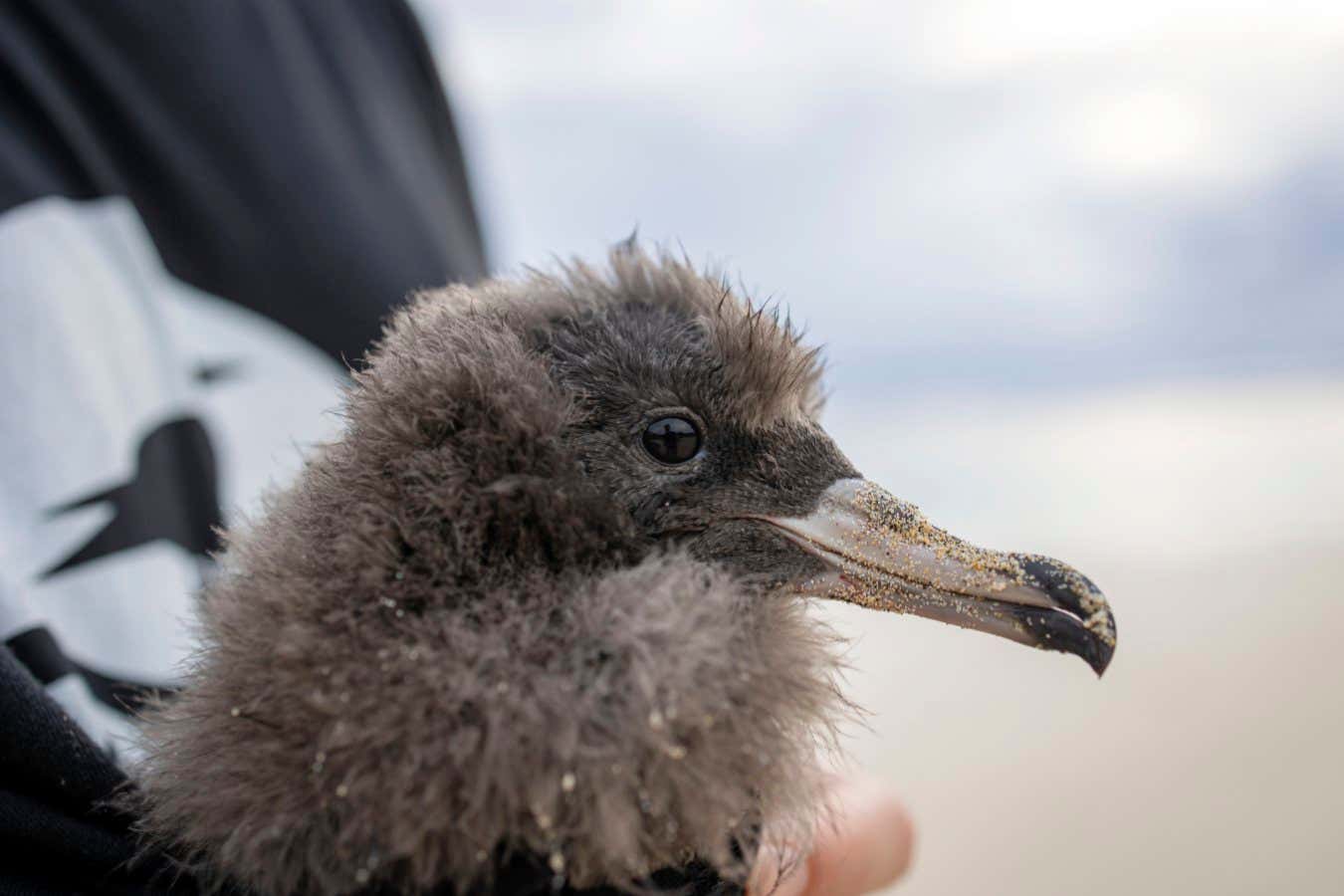 New Scientist. Science news and long reads from expert journalists, covering developments in science, technology, health and the environment on the website and the magazine.