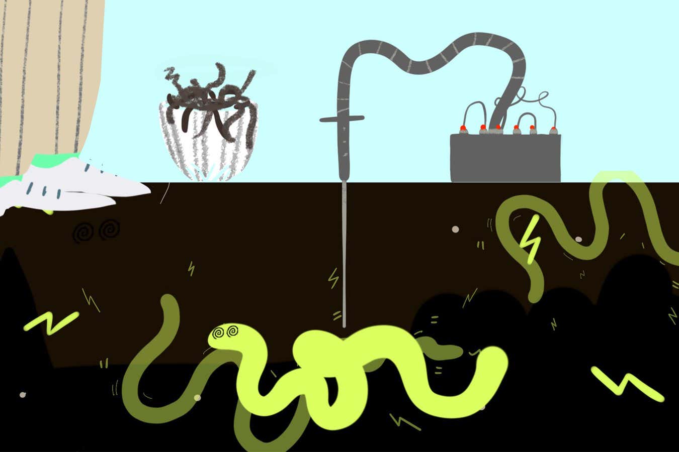 Can we live on worms alone? Probably not, find scientists