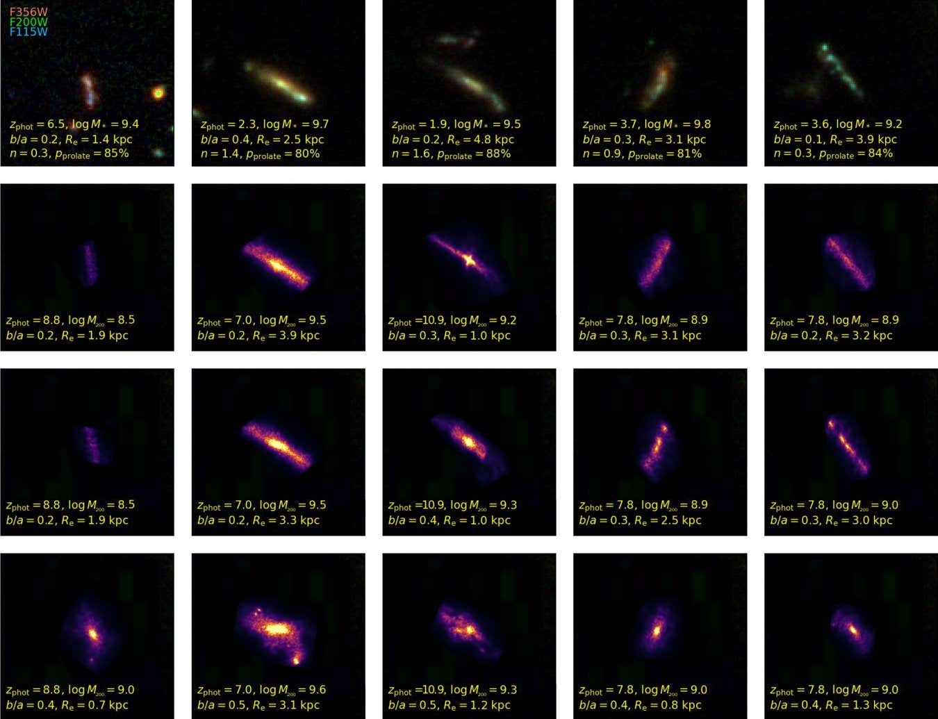 Banana-shaped galaxies detected by JWST and simulations of how dark matter may have influenced their shape