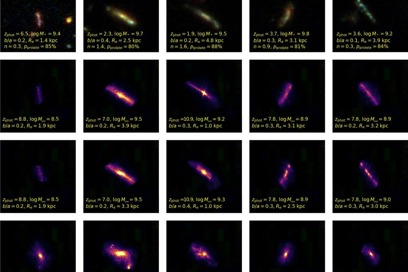 Banana-shaped galaxies detected by JWST and simulations of how dark matter may have influenced their shape