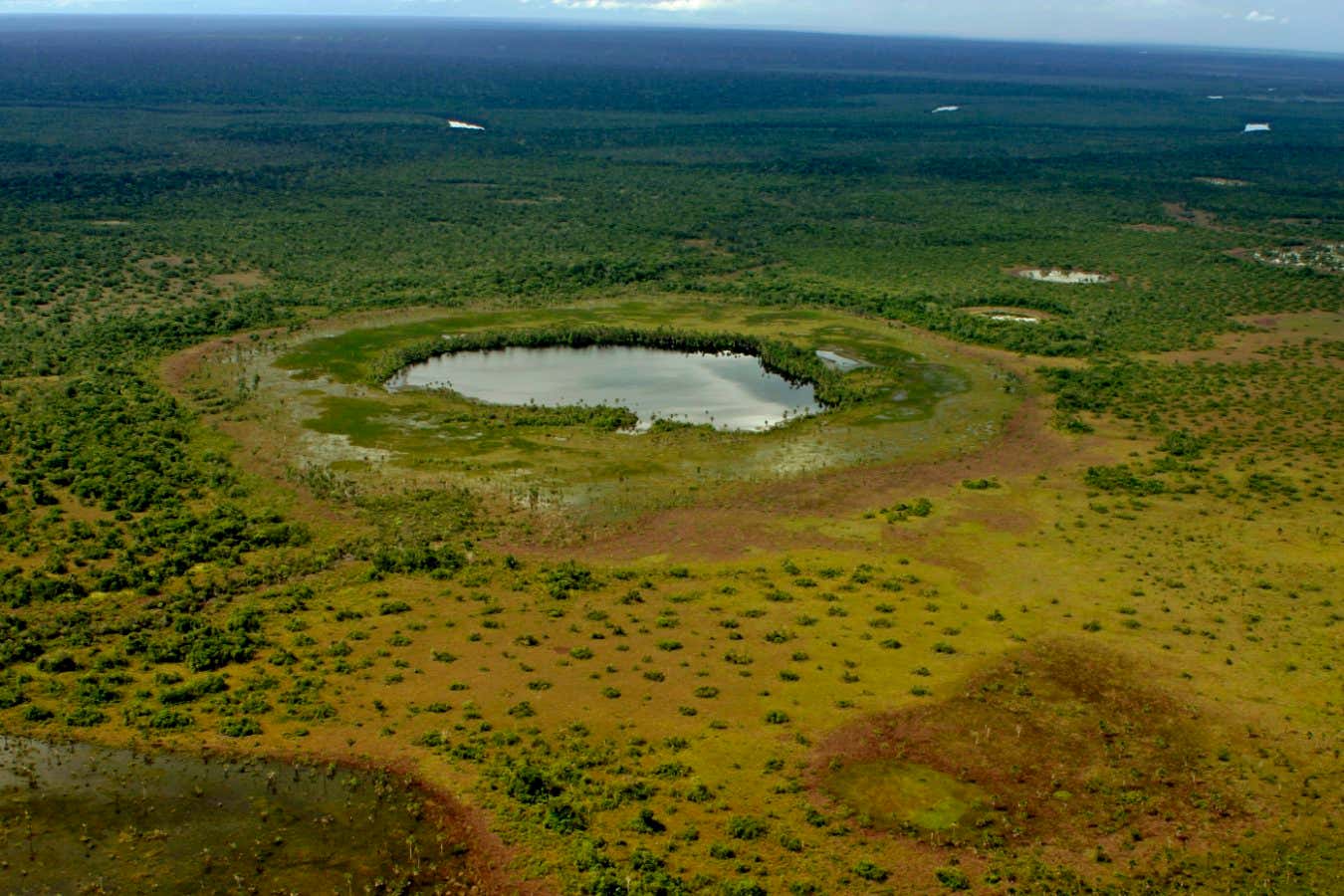 .Natural fields in Parque Ind??gena do Xingu (indigenous land).