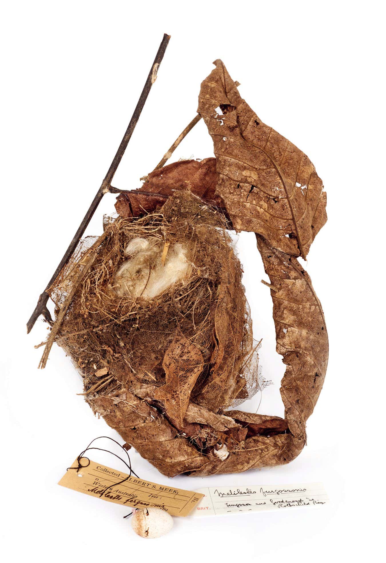 New Scientist. Science news and long reads from expert journalists, covering developments in science, technology, health and the environment on the website and the magazine.